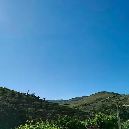 בית נופש Helena's Family House Pinhão